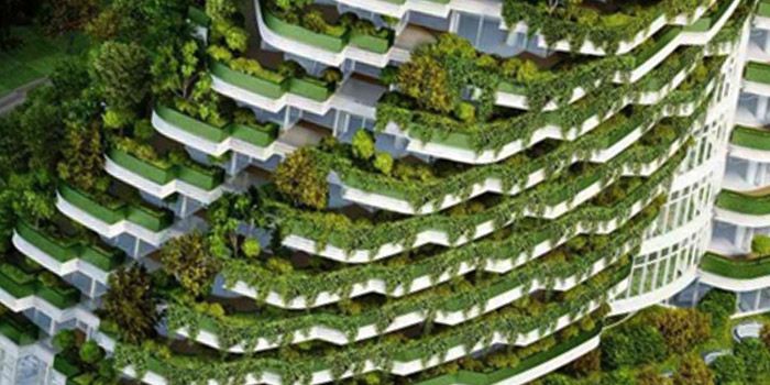 edificios ecologicos