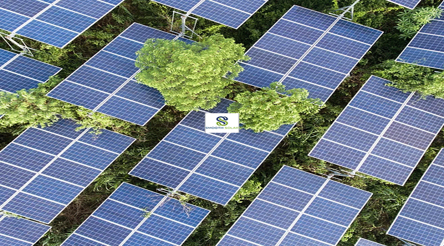 Mejores empresas paneles solares energía solar Dallas Texas