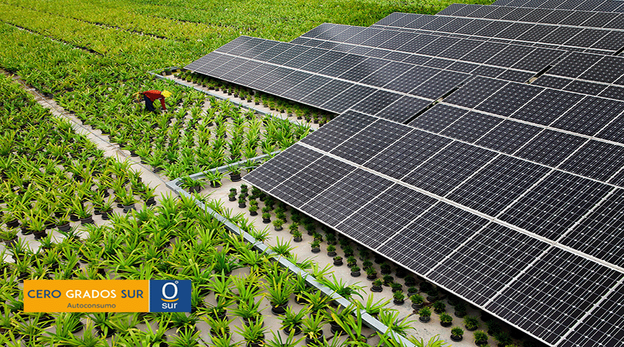 Mejores empresas paneles solares Murcia